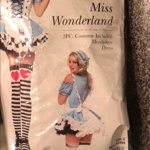 Miss Wonderland / Sexy Alice in Wonderland Costume
